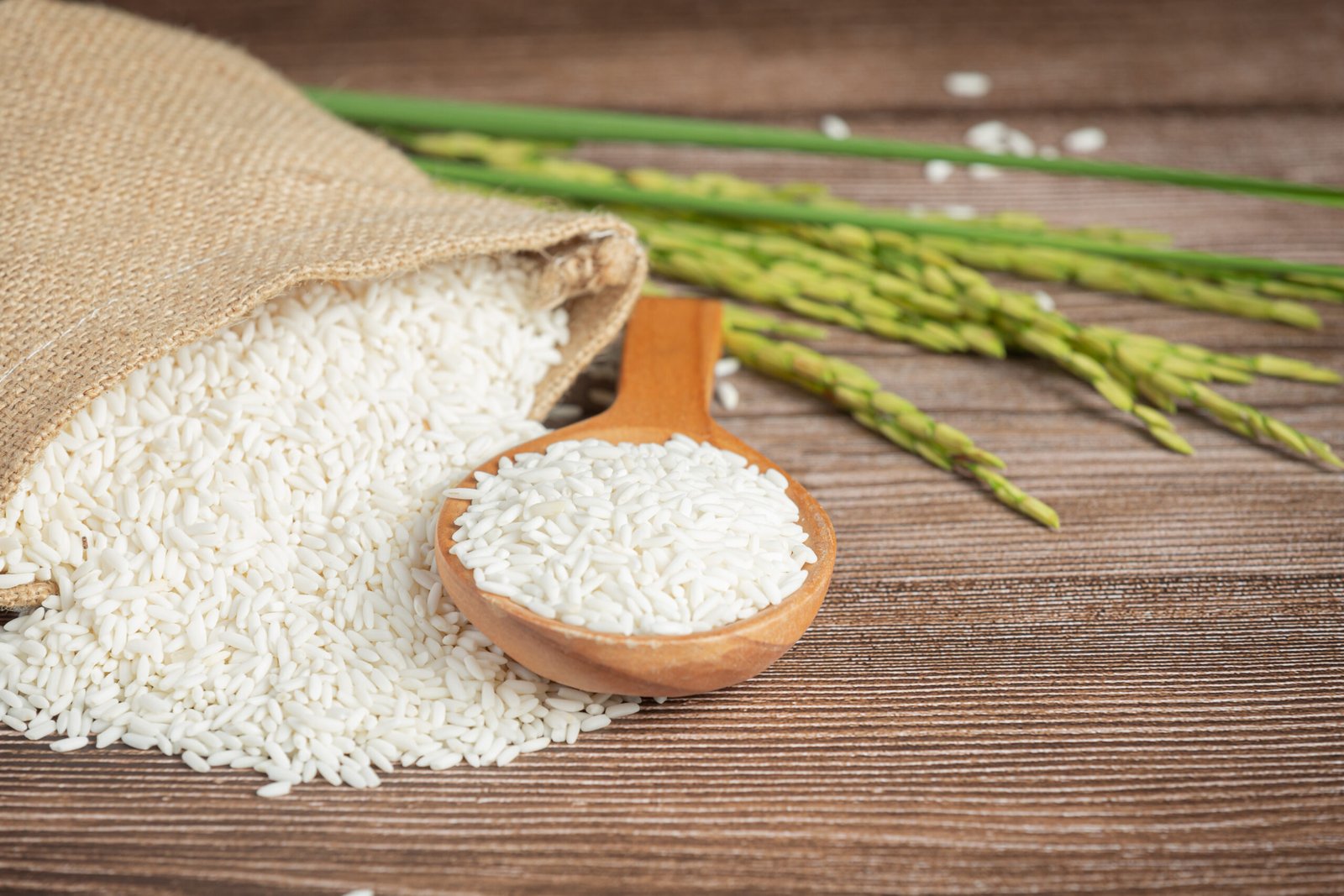 a sack of rice with rice on wooden spoon and rice plant